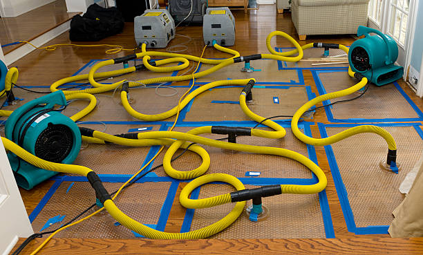 Professional Storm Water Damage Restoration technician working in Hernando, FL